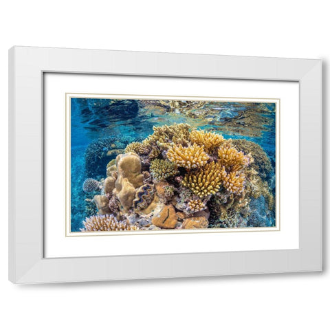 Reef of Mayotte White Modern Wood Framed Art Print with Double Matting by Gabriel, Barathieu