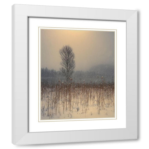 Lonely Tree White Modern Wood Framed Art Print with Double Matting by Gialopoulos, Anastasios