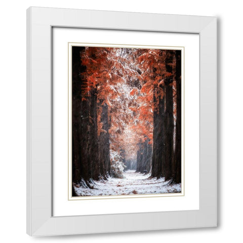 Snowy Day White Modern Wood Framed Art Print with Double Matting by Seo, Tiger