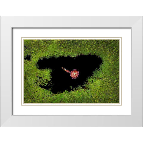 Harvesting Waterlily White Modern Wood Framed Art Print with Double Matting by Adikary, Sujon