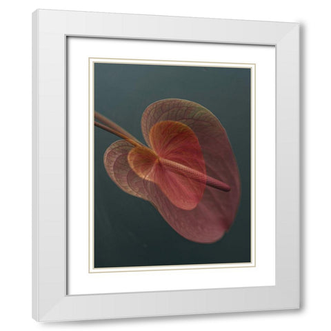 Heart 2 White Modern Wood Framed Art Print with Double Matting by Basso, Donatella