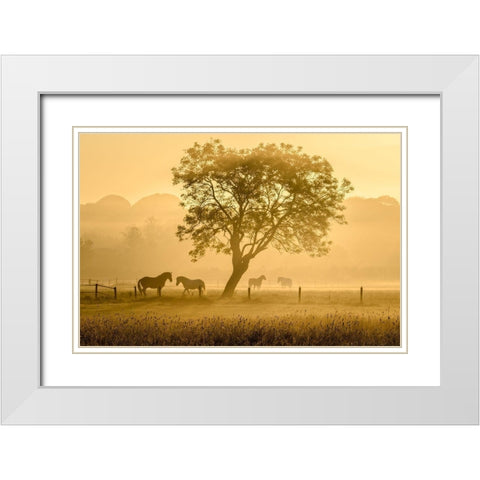 Golden Horses White Modern Wood Framed Art Print with Double Matting by Guijt, Richard