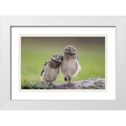Friends White Modern Wood Framed Art Print with Double Matting by Barsh, Greg