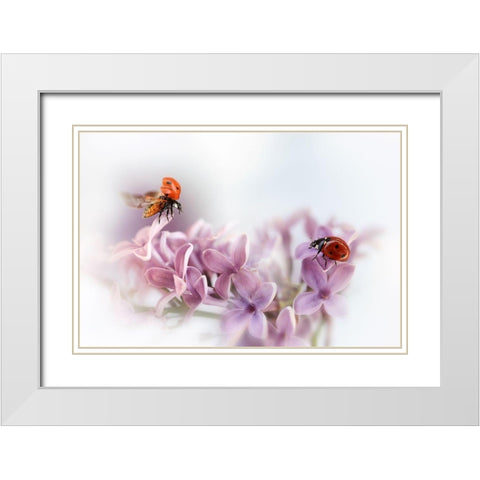 Almost Summer White Modern Wood Framed Art Print with Double Matting by Deelen, Ellen van