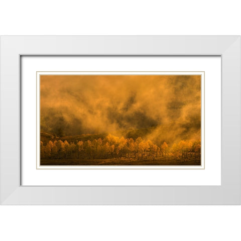 Garden of Eden White Modern Wood Framed Art Print with Double Matting by Fan, John