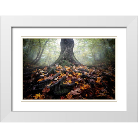 Autumn White Modern Wood Framed Art Print with Double Matting by Chen, Cicy