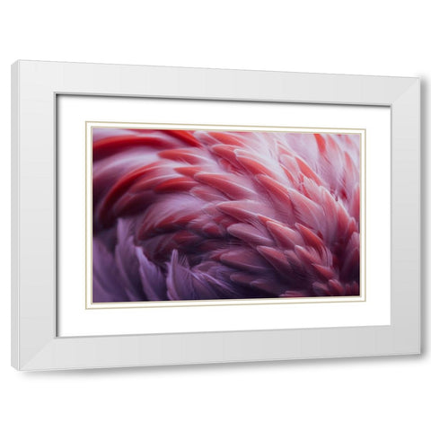 Flamingo White Modern Wood Framed Art Print with Double Matting by Beata, Angyalosi