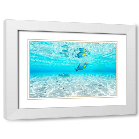 Blue lagoon White Modern Wood Framed Art Print with Double Matting by Gabriel, Barathieu