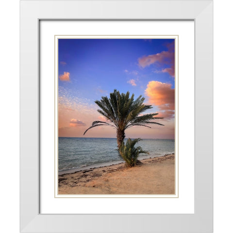 Palm beach White Modern Wood Framed Art Print with Double Matting by G Alfidi, Saleem