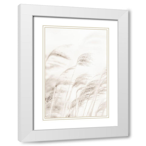 REED White Modern Wood Framed Art Print with Double Matting by Artographie Studio