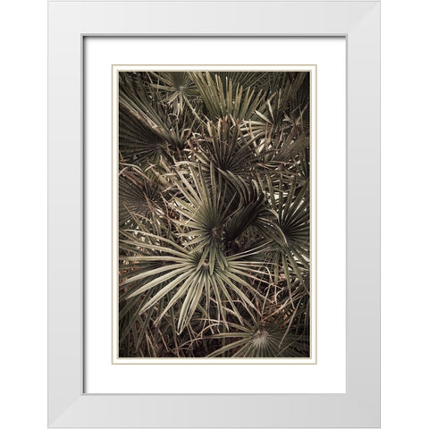 Palmblad 003 White Modern Wood Framed Art Print with Double Matting by Artographie Studio