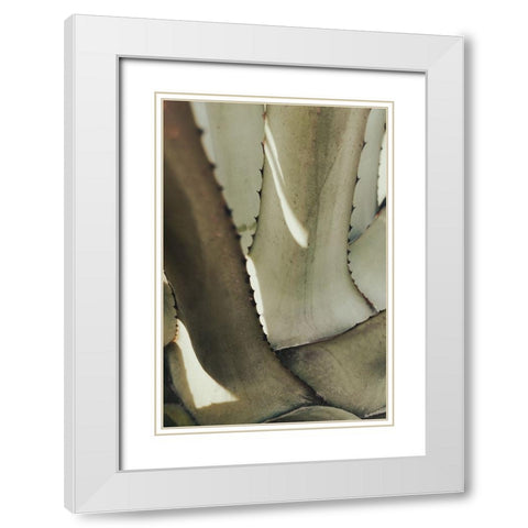Agave 002 White Modern Wood Framed Art Print with Double Matting by Artographie Studio