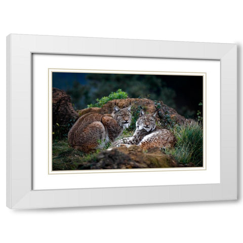 Moonschein Lovers White Modern Wood Framed Art Print with Double Matting by Barbieri, Gianfranco