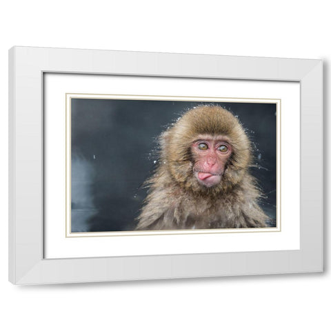 Untitled No 5807 White Modern Wood Framed Art Print with Double Matting by Marumoto, Takeshi