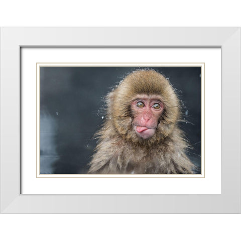 Untitled No 5807 White Modern Wood Framed Art Print with Double Matting by Marumoto, Takeshi