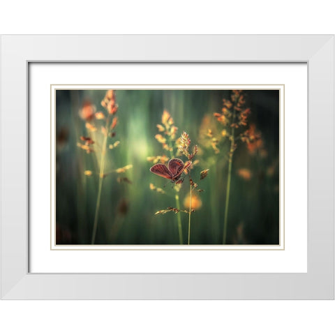 Last Light White Modern Wood Framed Art Print with Double Matting by Vinogradof, Florentin