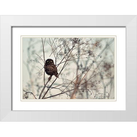 Look at Me White Modern Wood Framed Art Print with Double Matting by Avramescu, Emilian