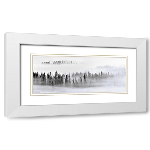 Foggy Forest White Modern Wood Framed Art Print with Double Matting by Xu, Mei