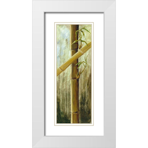 Rainforest II White Modern Wood Framed Art Print with Double Matting by Haggenmacher, Maritta