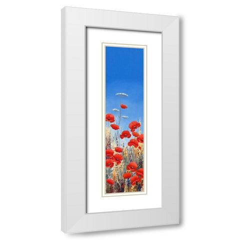 Summer Poppies I White Modern Wood Framed Art Print with Double Matting by Mayes, Hilary