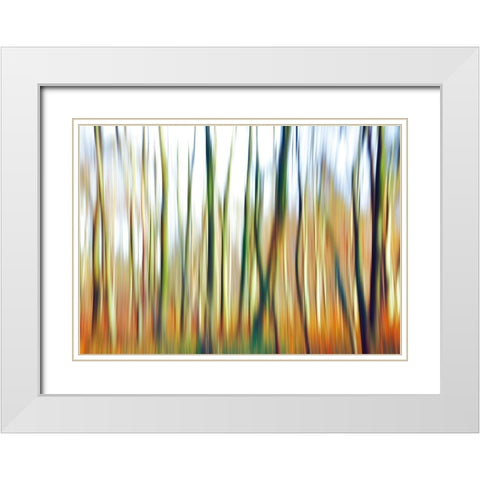 Abstrahierte Welten I White Modern Wood Framed Art Print with Double Matting by Suschaa
