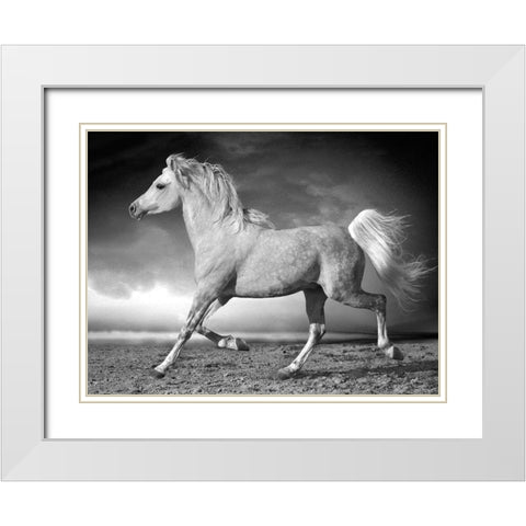 Walking along the Beach White Modern Wood Framed Art Print with Double Matting by Llovet, Jorge