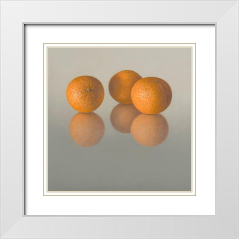 IIDK1262 White Modern Wood Framed Art Print with Double Matting by Delaer