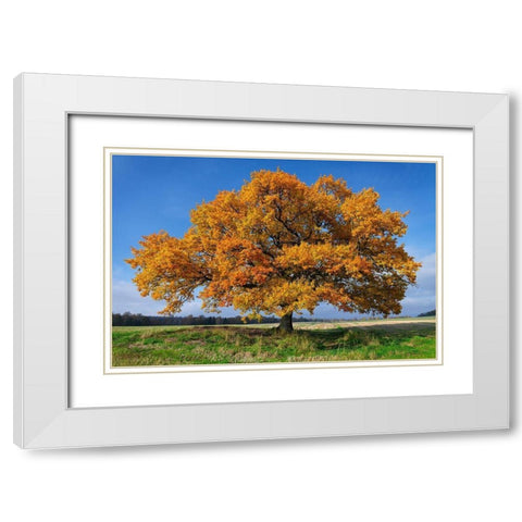 Golden Oak White Modern Wood Framed Art Print with Double Matting by Strand, Hans