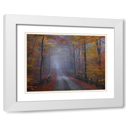Misty Road White Modern Wood Framed Art Print with Double Matting by Strand, Hans