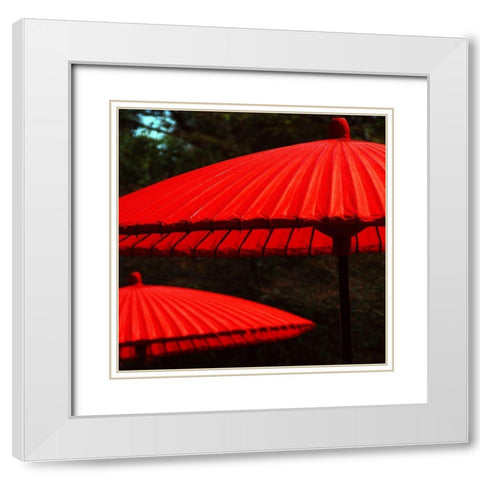 Red protection White Modern Wood Framed Art Print with Double Matting by Weber, Matthias