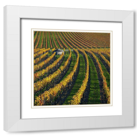 Veineyards of hautes cotes Burgundy White Modern Wood Framed Art Print with Double Matting by Strand, Hans