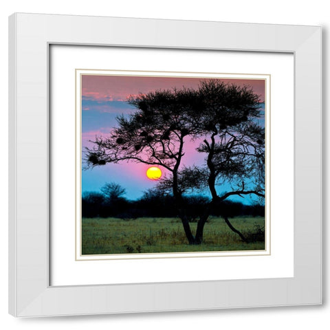 End of the Day White Modern Wood Framed Art Print with Double Matting by Brommelhorster, Ulf