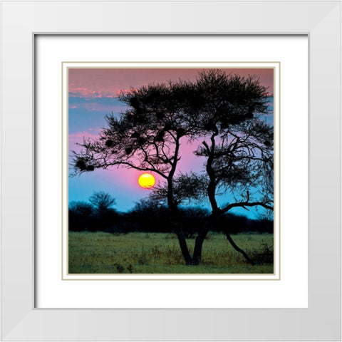 End of the Day White Modern Wood Framed Art Print with Double Matting by Brommelhorster, Ulf