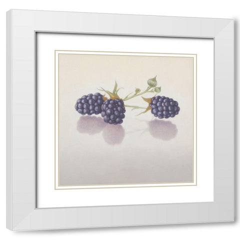 12DK1283 White Modern Wood Framed Art Print with Double Matting by Delaer