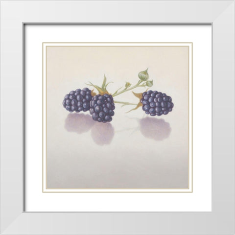 12DK1283 White Modern Wood Framed Art Print with Double Matting by Delaer