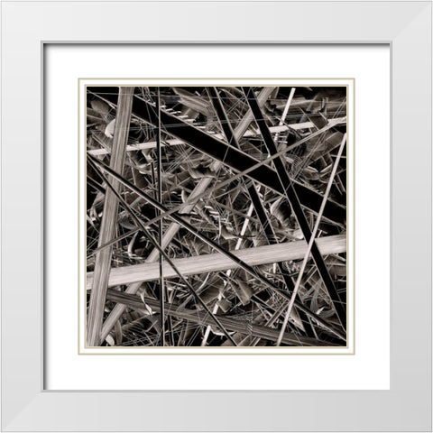 BW 221013 White Modern Wood Framed Art Print with Double Matting by NADAL
