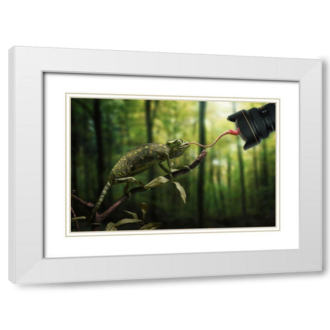 Just a Chameleon action shooting… White Modern Wood Framed Art Print with Double Matting by John Wilhelm is a Photoholic