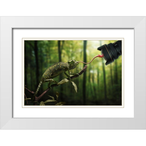 Just a Chameleon action shooting… White Modern Wood Framed Art Print with Double Matting by John Wilhelm is a Photoholic