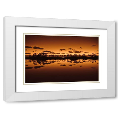 Symetrie White Modern Wood Framed Art Print with Double Matting by Bertrande, Arnaud