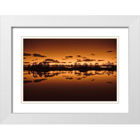 Symetrie White Modern Wood Framed Art Print with Double Matting by Bertrande, Arnaud