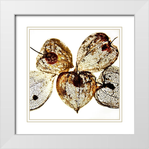 Evanescence I White Modern Wood Framed Art Print with Double Matting by Weber, Matthias