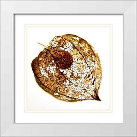 Evanescence IV White Modern Wood Framed Art Print with Double Matting by Weber, Matthias