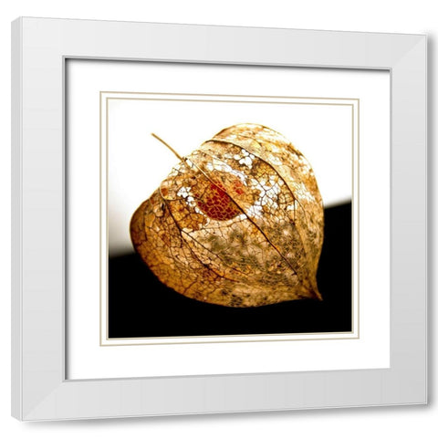 Evanescence V White Modern Wood Framed Art Print with Double Matting by Weber, Matthias