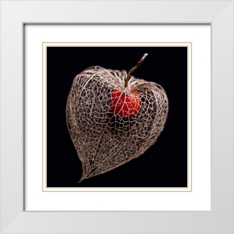 Lantern Heart I White Modern Wood Framed Art Print with Double Matting by Weber, Matthias