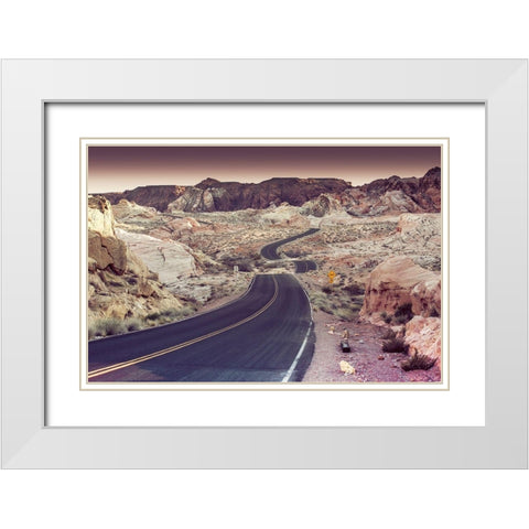 Snake Road White Modern Wood Framed Art Print with Double Matting by Lichtenwalter, Tom