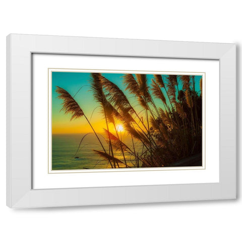 Shining Reed White Modern Wood Framed Art Print with Double Matting by Lichtenwalter, Tom