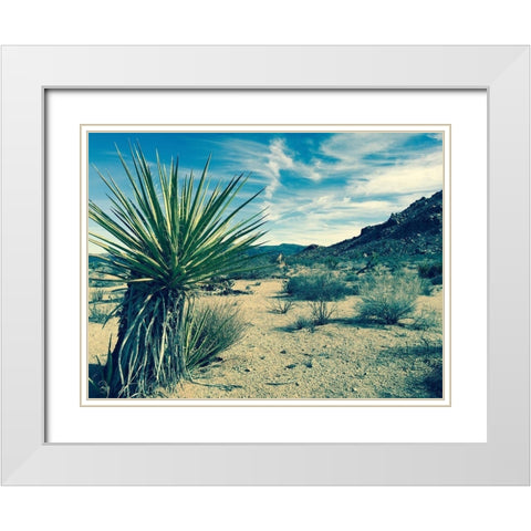 Lonesome White Modern Wood Framed Art Print with Double Matting by Lichtenwalter, Tom
