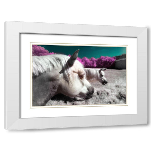 Fantasy Horses - Infrared Photography  White Modern Wood Framed Art Print with Double Matting by Gee, Tonee