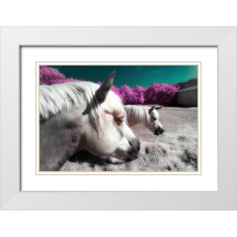 Fantasy Horses - Infrared Photography  White Modern Wood Framed Art Print with Double Matting by Gee, Tonee