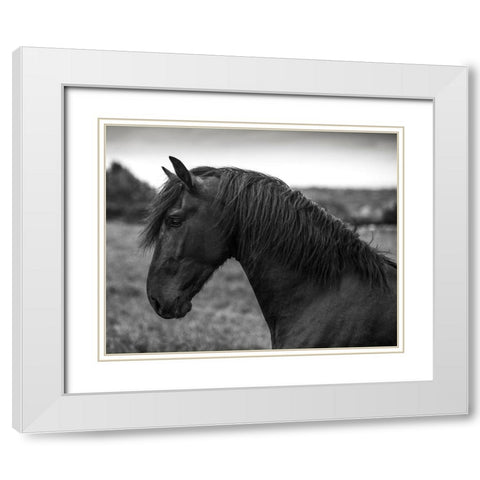 Strong Look White Modern Wood Framed Art Print with Double Matting by Llovet, Jorge